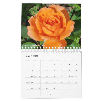 Gabby the Gardener 2021 Calendar