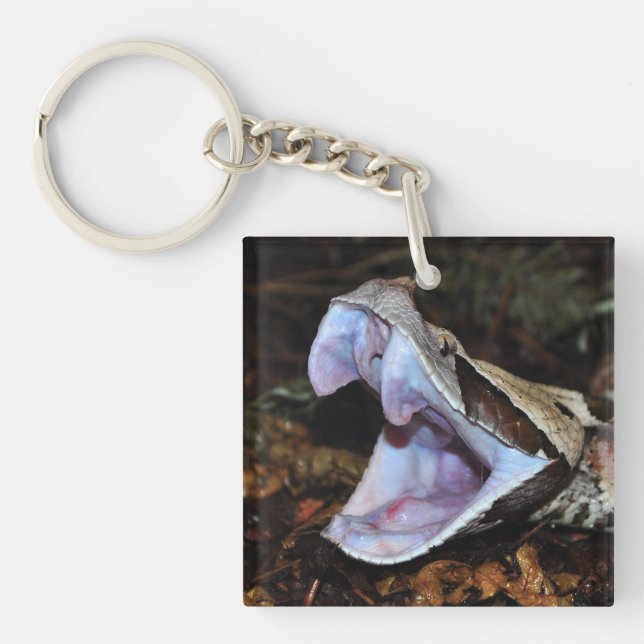 Gabon viper keychain (Front)
