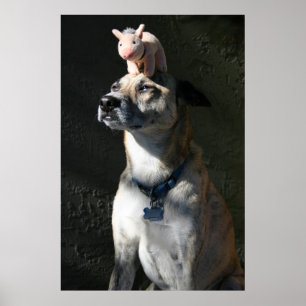 Gabriel ordered bacon for breakfast poster