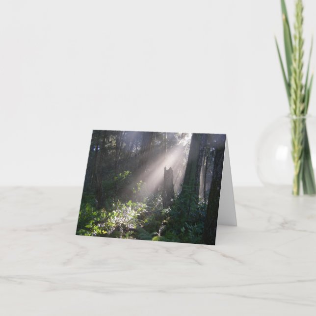 Gabriola forest sunshine card (Front)