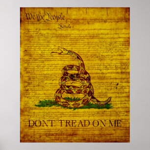 Gadsden Flag Poster