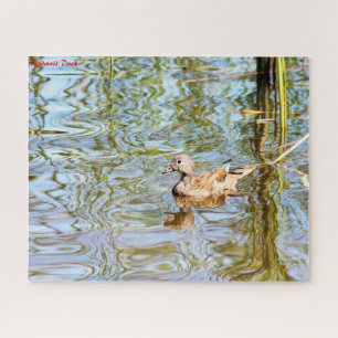Gadwall Duck Jigsaw Puzzle