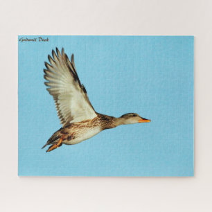 Gadwall Duck Jigsaw Puzzle