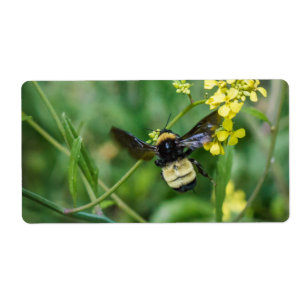Gaffez l'abeille en vol