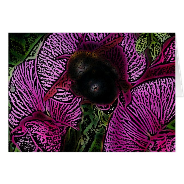 Gaffez l'abeille et les pois doux (Devant horizontal)