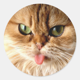 Gag me with a spoon classic round sticker