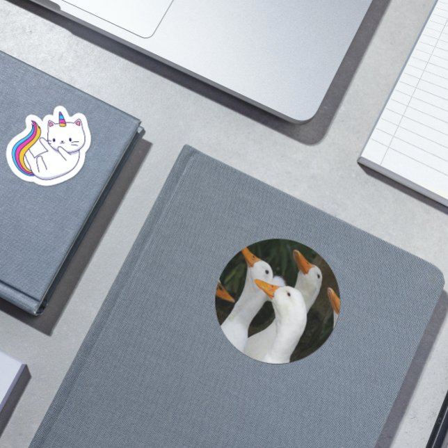 Gaggle of White Ducks Classic Round Sticker (In Situ Book)