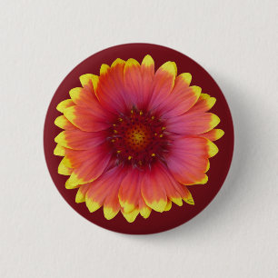 Gaillardia 1 2 inch round button
