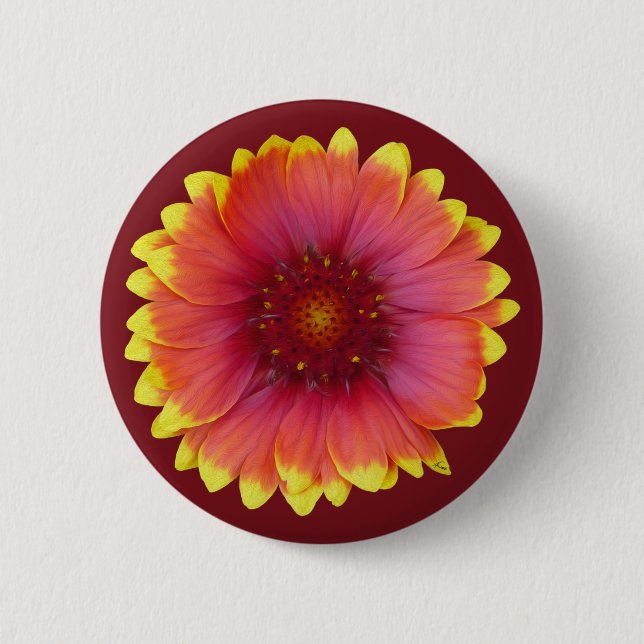 Gaillardia 1 2 inch round button (Front)