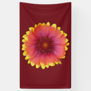 Gaillardia 1 banner