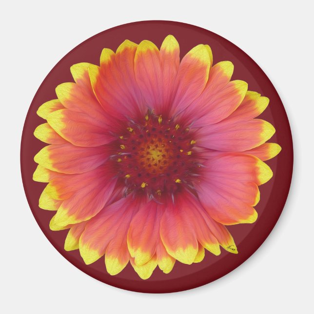 Gaillardia 1 magnet (Front)