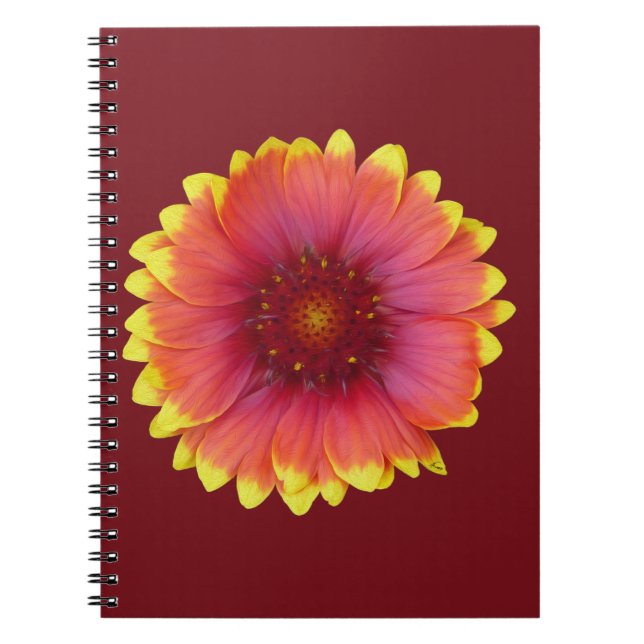Gaillardia 1 notebook (Front)