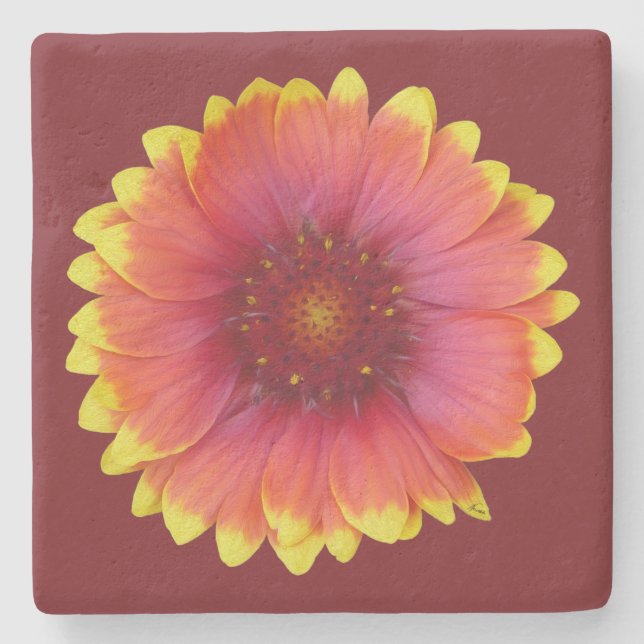 Gaillardia 1 stone coaster (Front)