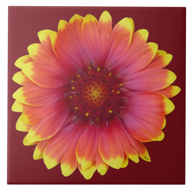 Gaillardia 1 tile (Front)