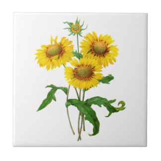 Gaillardia by Pierre Joseph Redoute Tile