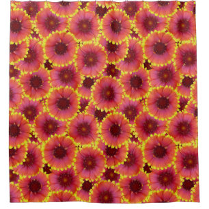 Gaillardia Seamless Pattern