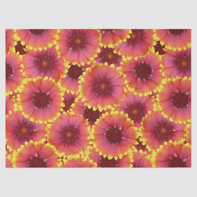 Gaillardia Seamless Pattern Tissue Paper (Front)