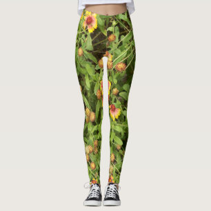 Gaillardia sometimes called Blanket Flowers Leggings