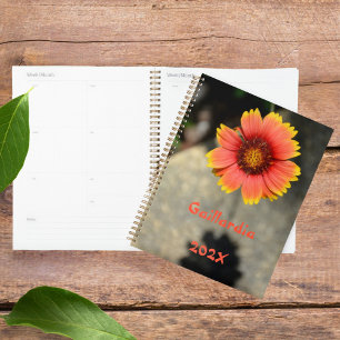 Gaillardia Tournesol Orange et Jaune Floral