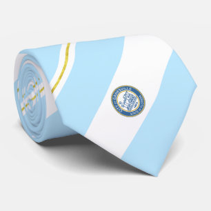 Gainesville (Florida) city flag Neck Tie