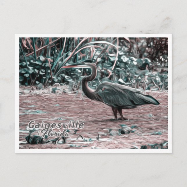 GAINESVILLE FLORIDA POSTCARD (Front)