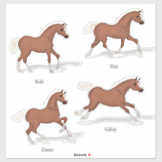 Gaits of the Horse Sorrel Foal Horsemanship (Sheet)