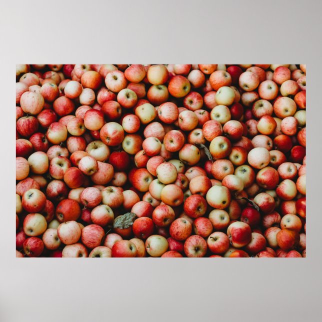 GALA APPLES POSTER (Front)