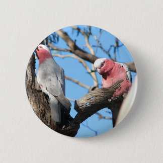 Galah 2 Inch Round Button