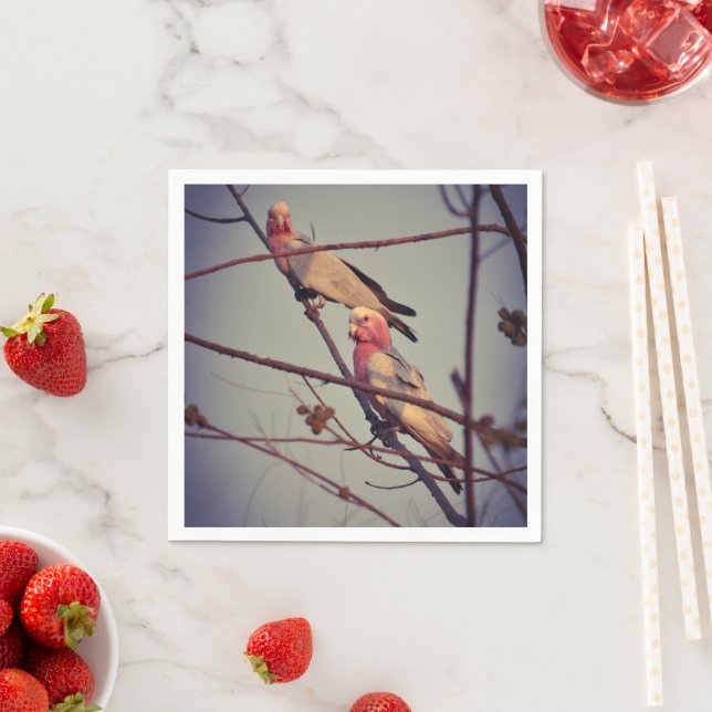 Galah birds in tree 1 napkin (Insitu)