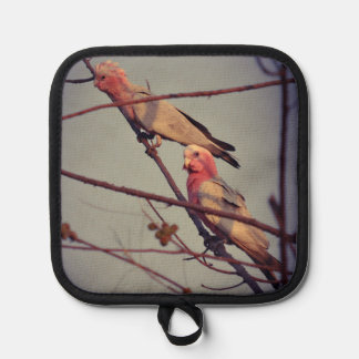 Galah birds in tree 2 pot holder