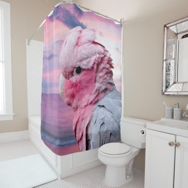 Galah Cockatoo (In Situ)
