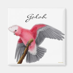 Galah Cockatoo Magnet