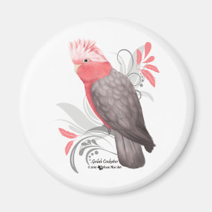 Galah Cockatoo Magnet