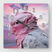Galah Cockatoo