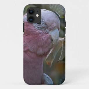 Galah or Rose-breasted Cockatoo iPhone 11 Case