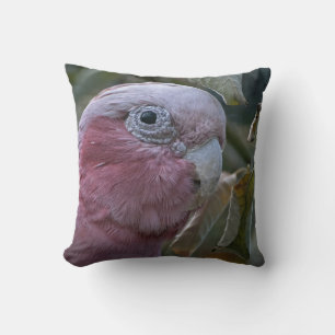 Galah or Rose-breasted Cockatoo Throw Pillow