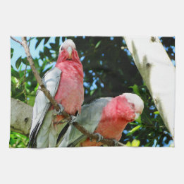 Galah (Rose Breasted Cockatoo) Kitchen Towel