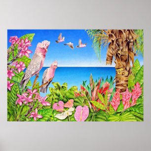 Galahs Poster