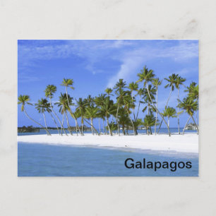 Galapagos - beach postcard