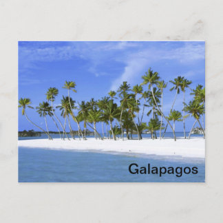 Galapagos - beach postcard