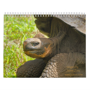 Galapagos! Calendar