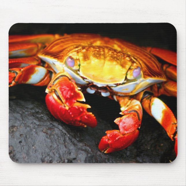 Galapagos Crab Mouse Pad (Front)