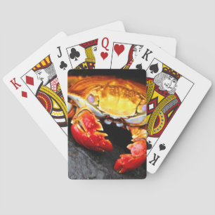 Galapagos Crab Playing Cards
