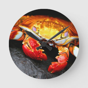 Galapagos Crab Round Clock