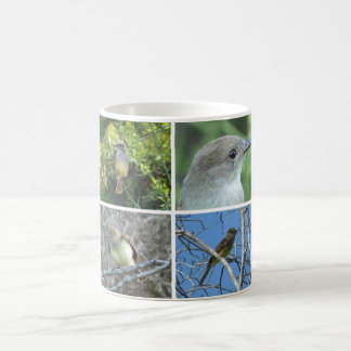 Galápagos Flycatcher Coffee Mug
