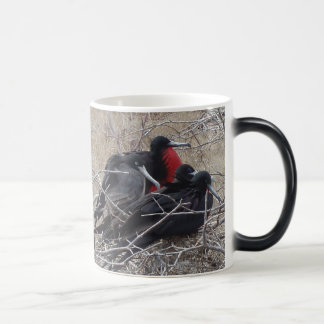 Galapagos Frigate Birds Magic Mug