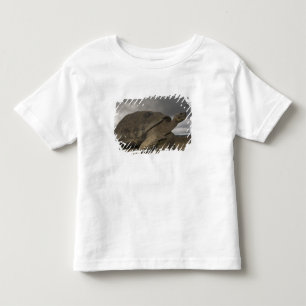 Galapagos Giant Tortoise Geochelone Toddler T-shirt