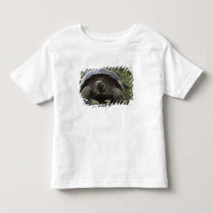 Galapagos Giant Tortoises Geochelone Toddler T-shirt