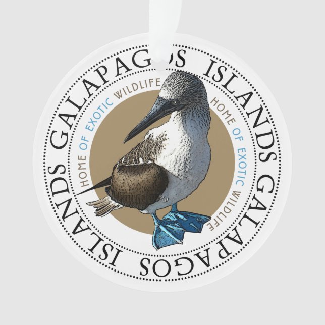 Galapagos Îles Bleu Pied Booby Bird (devant)