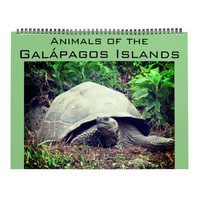 galapagos islands animals 2026 large calendar (Cover)